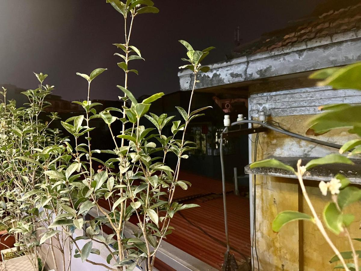 Sunflower Homestay 海防 外观 照片