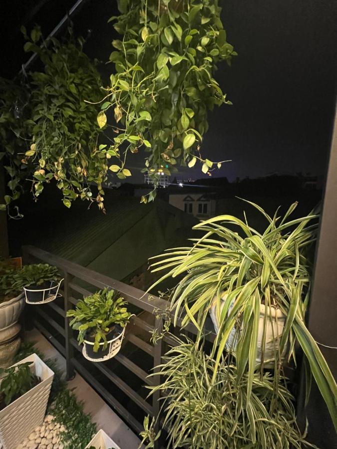 Sunflower Homestay 海防 外观 照片